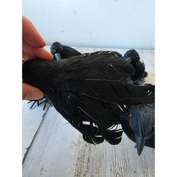 Greenbrier graveyard Crow Bird Halloween realistic prop feather decor - Picture 6 of 11